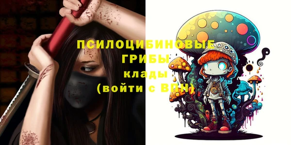 соль ск Балахна