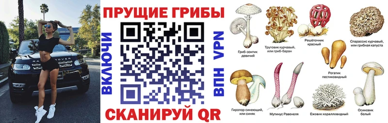 Галлюциногенные грибы MAGIC MUSHROOMS  Семилуки 