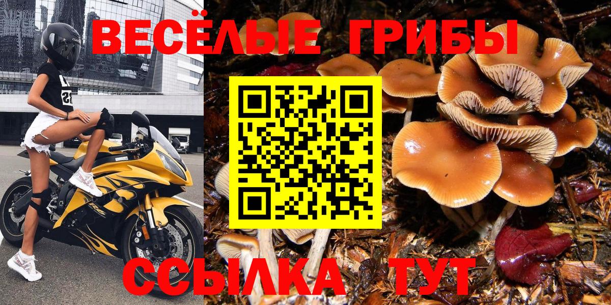 Псилоцибиновые грибы мухоморы Семилуки